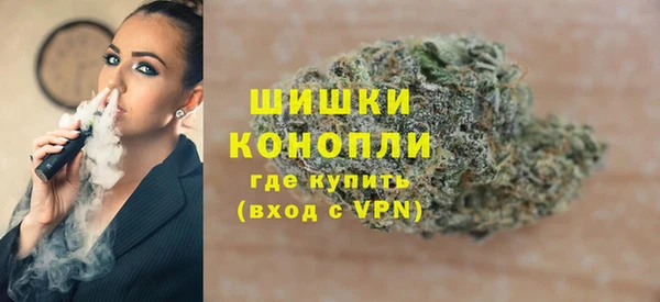 прущие грибы Снежинск