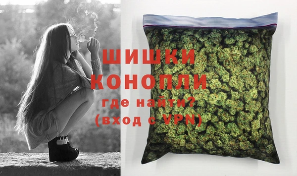 ПСИЛОЦИБИНОВЫЕ ГРИБЫ Балахна
