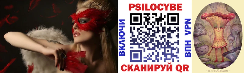 Галлюциногенные грибы GOLDEN TEACHER  даркнет сайт  Камызяк 